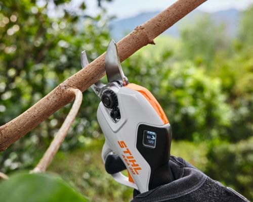 Attrezzatura elettrica STIHL impiegata nella gestione sostenibile degli alberi di Paulownia