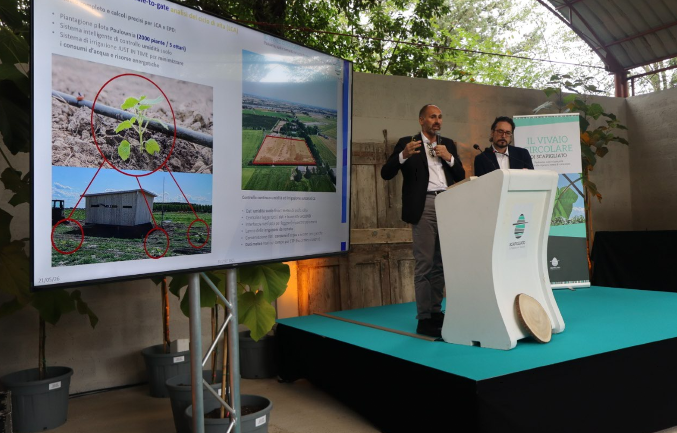 Filiera del legno di Paulownia realizzata con Xlam Dolomiti, esempio di supertimber